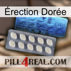 Érection Dorée 34